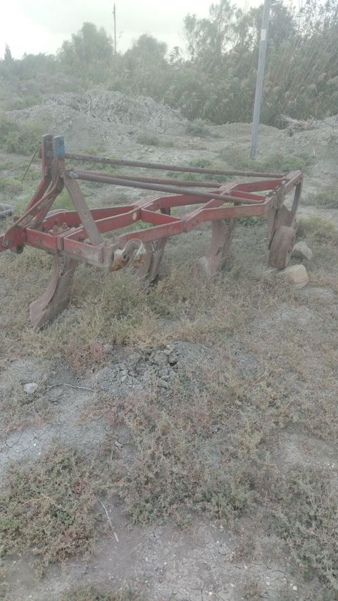 12 lik unvan səlyan — Salyan