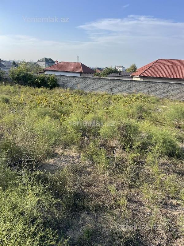 Satılır Torpaq sahəsi, 28 sot, Qurd dərəsi — Torpaq, Sumqayıt (10)