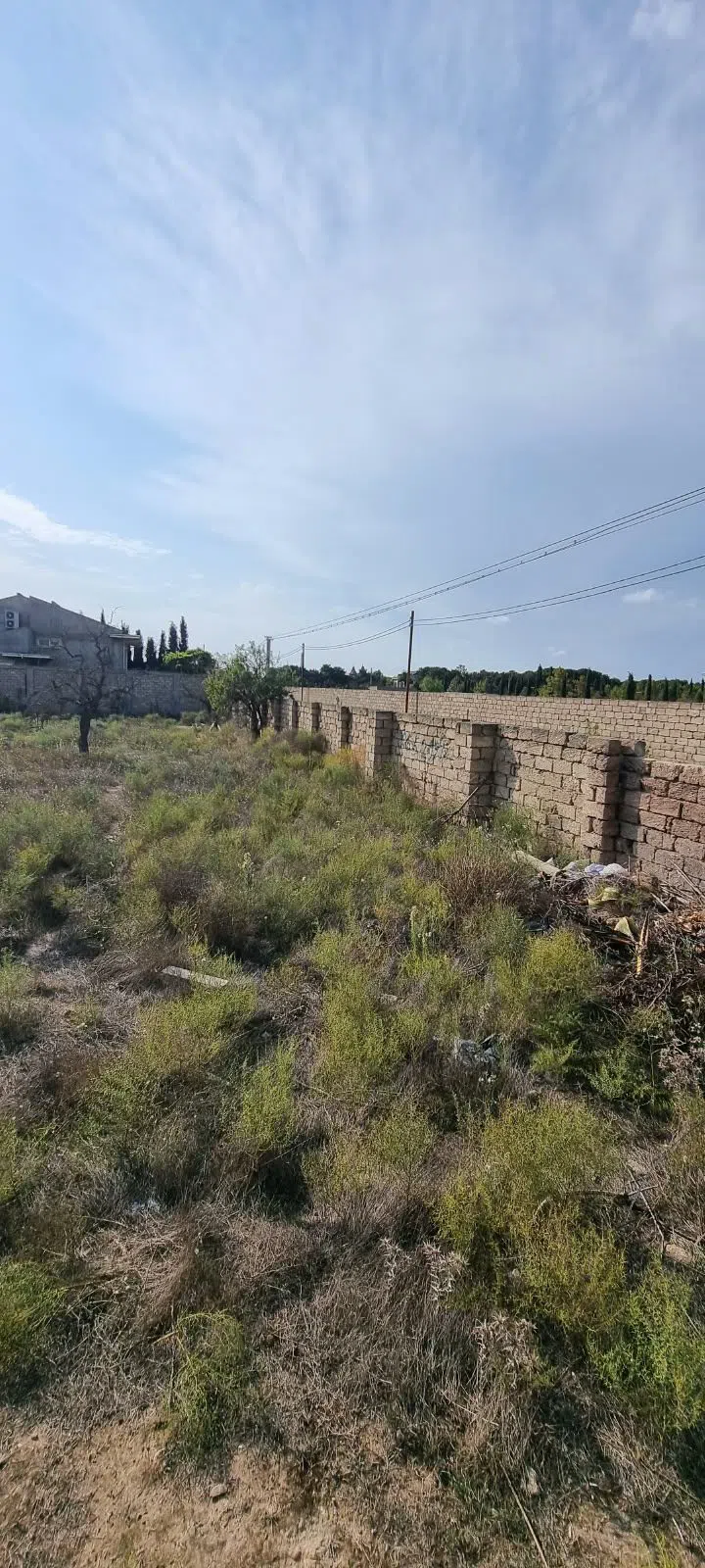 14 sot torpaq sahəsi satılır — Torpaq, Bakı (7)