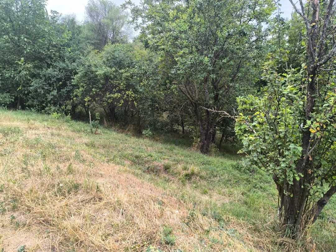 Satılır torpaq 10 sot — Torpaq, Şamaxı (3)
