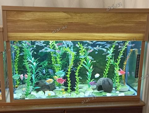 Dördbucaq akvarium, Boş, 80 l — Bakı