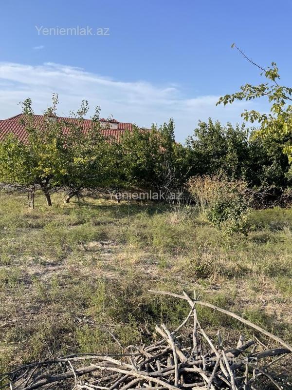 Satılır Torpaq sahəsi, 28 sot, Qurd dərəsi — Torpaq, Sumqayıt (5)