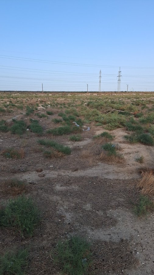 Torpaq sahəsi, 2 sot, Kənd təsərrüfatı təyinatlı, Müqaviləli, Yeni surxanı, Bakı — Torpaq, Bakı