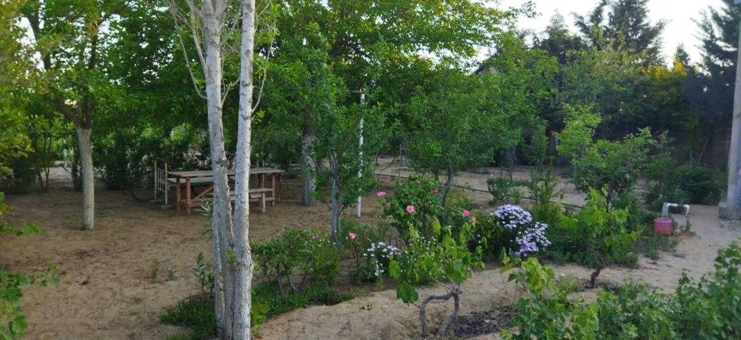 Satılır 2 otaqlı həyət evi/bağ evi 70 m² — Ev, villa, Bakı (11)