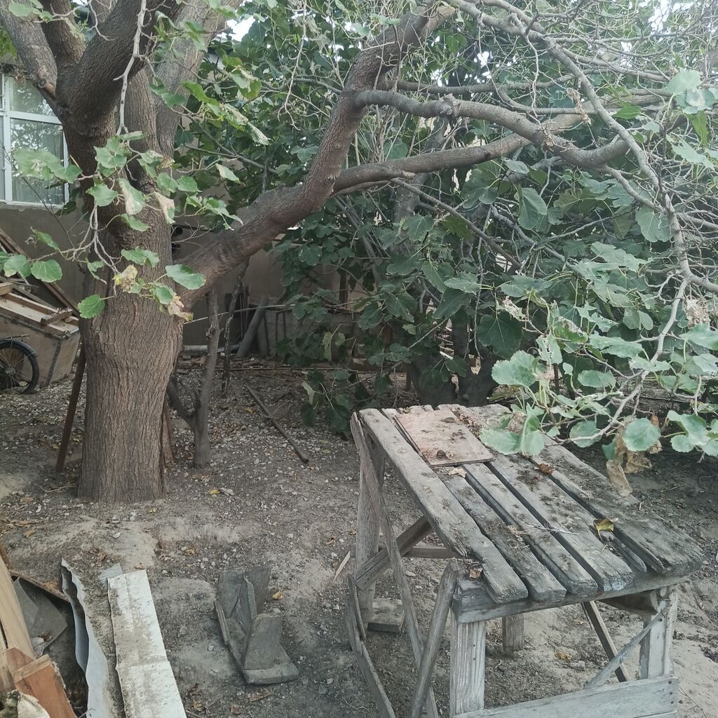 Kənd təsərrüfatı — Torpaq, Mehdiabad (6)