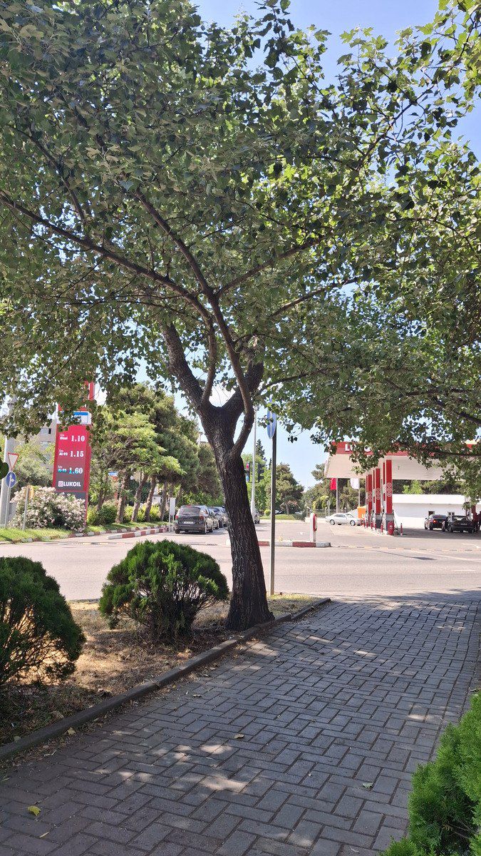 Satılır 2 otaqlı köhnə tikili 65 m² — Mənzil, Bakı (7)