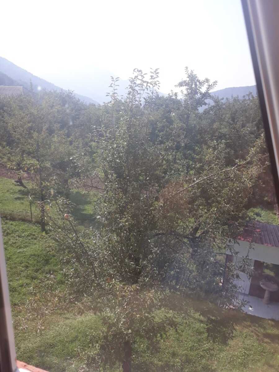 Satılır 4 otaqlı həyət evi/bağ evi 80 m² — Ev, villa, İsmayıllı (8)