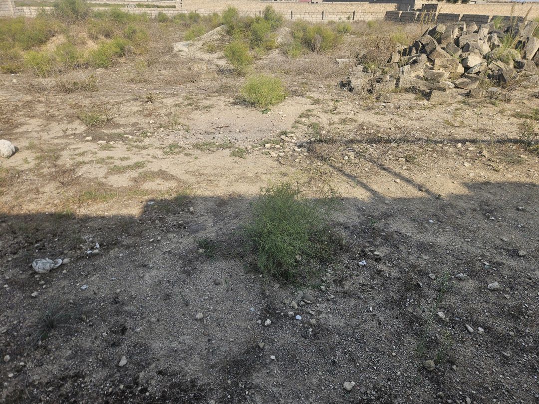 Satılır torpaq 4 sot — Torpaq, Bakı (2)