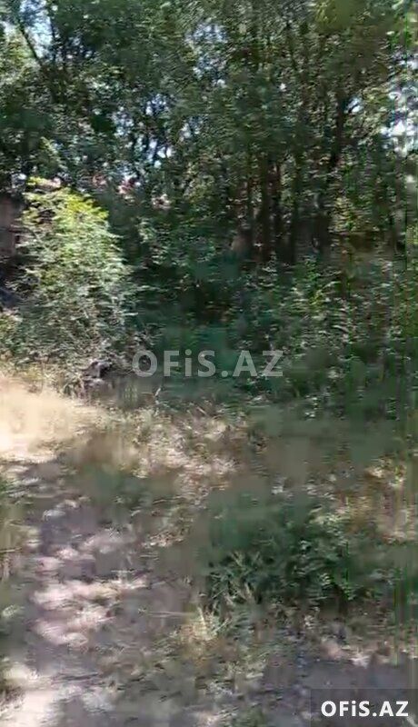 Torpaq Satılır Xızı, Satılır torpaq sahəsi, 12 sot — Torpaq, Xızı (6)
