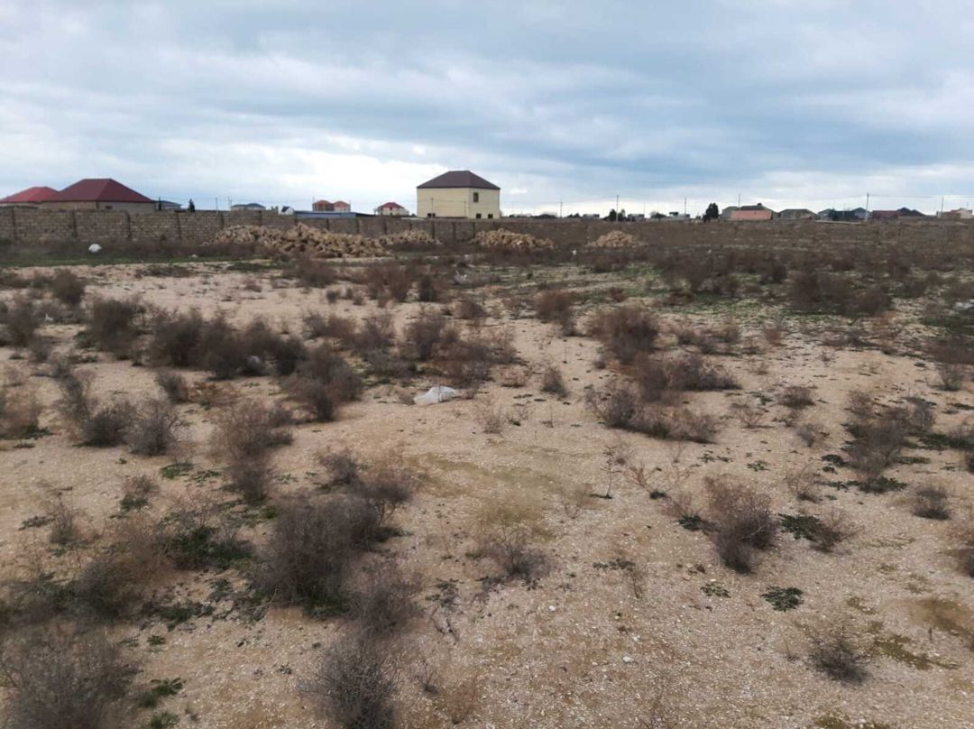 Satılır torpaq 219 sot — Torpaq, Bakı (2)