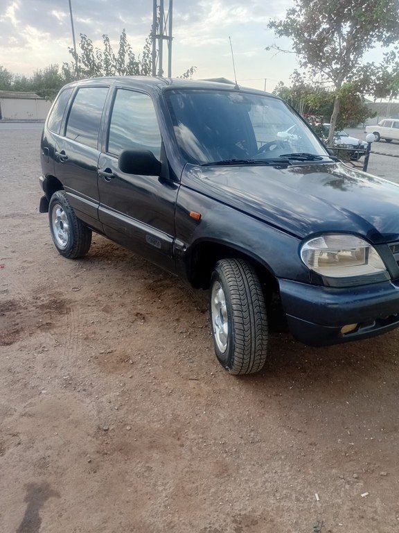 Chevrolet Niva, 1.7 L, 2005 il, 484 840 km — Avtomobillər, Goranboy (5)