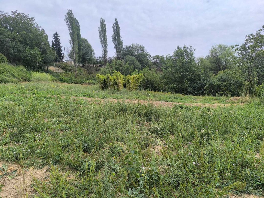 Satılır torpaq 10 sot — Torpaq, Şamaxı (8)