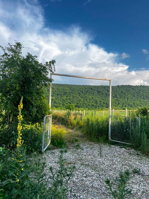 5 sot, Biznes üçün, Makler, Kupça (Çıxarış) — Qusar