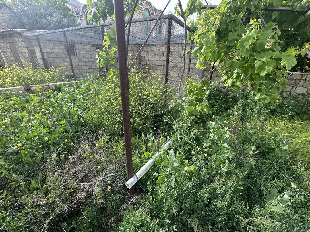 Satılır torpaq 3.8 sot — Torpaq, Bakı (6)