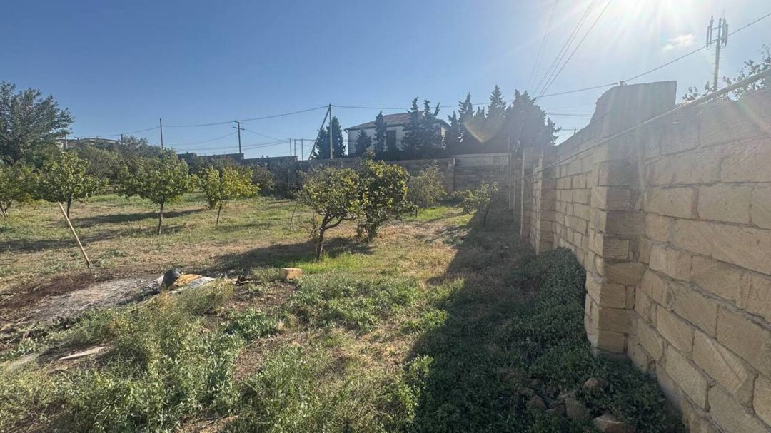 Satılır torpaq 10 sot — Torpaq, Bakı (4)
