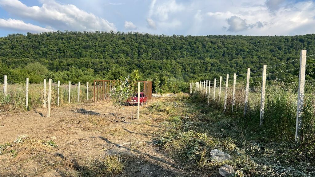 5 sot, Biznes üçün, Makler, Kupça (Çıxarış) — Torpaq, Qusar (3)