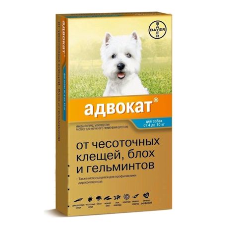 Bit və gənə əleyhinə 4-10 kq itlər üçün damcılar Bayer Advocate, 3 pipet — Bakı