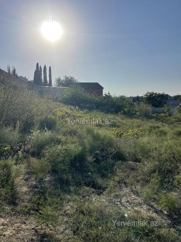 Satılır Torpaq sahəsi, 28 sot, Qurd dərəsi — Torpaq, Sumqayıt (8)