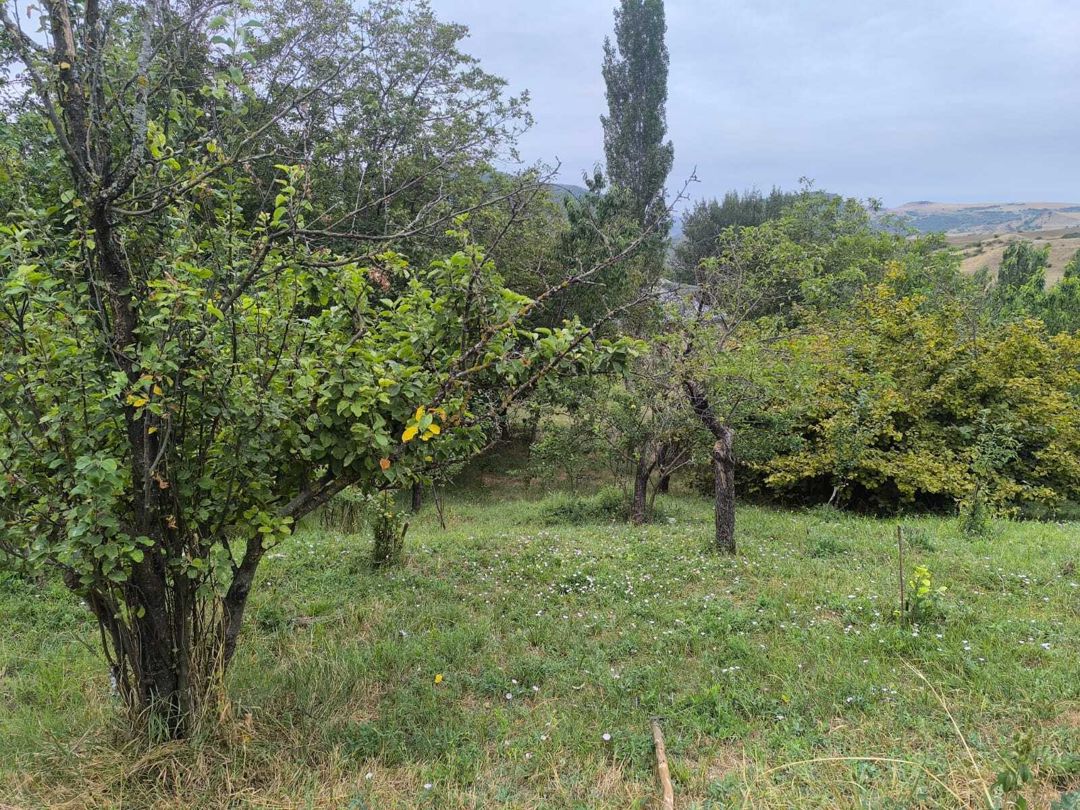 Satılır torpaq 10 sot — Torpaq, Şamaxı (4)