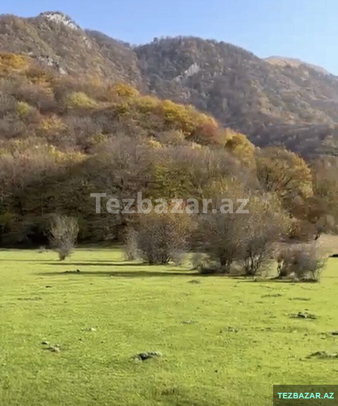 Oğuzda 81-sot — Torpaq, Bakı (7)