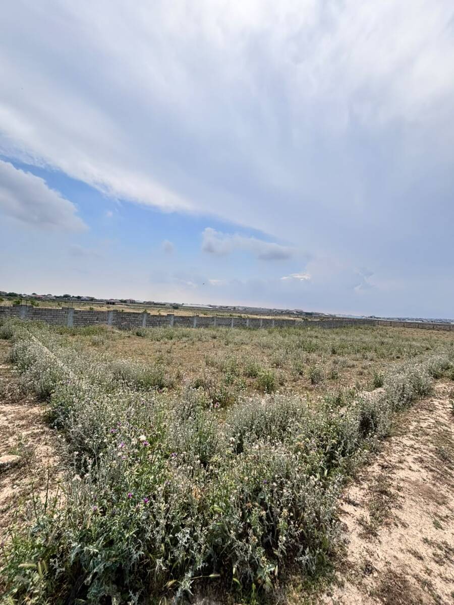 Satılır torpaq 7 sot — Torpaq, Bakı (4)
