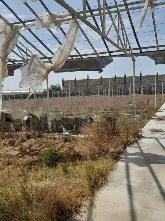 13 sot Torpaq Satılır, Buzovna, Xəzər, Bakı — Torpaq, Bakı (6)