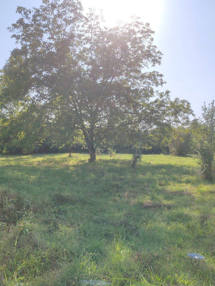 Satılır torpaq 22 sot — Torpaq, Qəbələ (4)