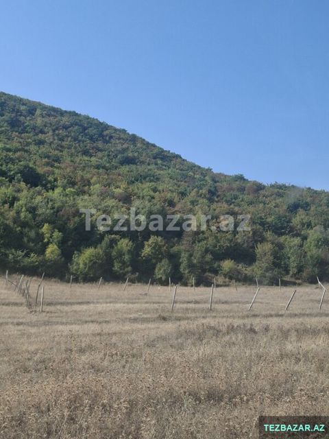Şamaxı torpaq — Şamaxı