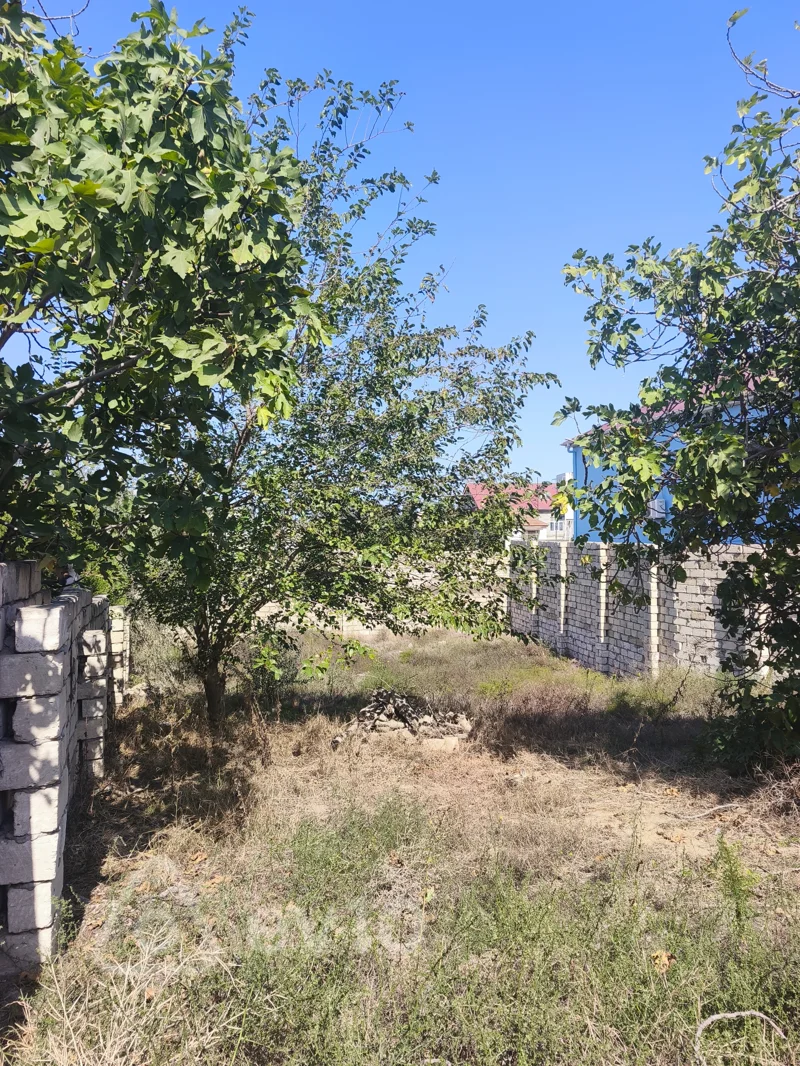 Torpaq sahəsi, 4.3 sot, Mərdəkan qəsəbəsi — Torpaq, Bakı (3)