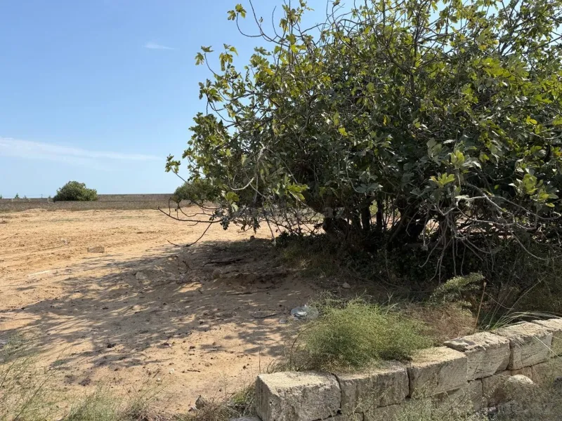 Satılır Torpaq 5 sot Bakı, Sabunçu r., Nardaran — Torpaq, Bakı (2)