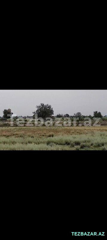 Saatlı 78ha.sahəsi olan obyekt satılır — Əmlak, Bakı (10)