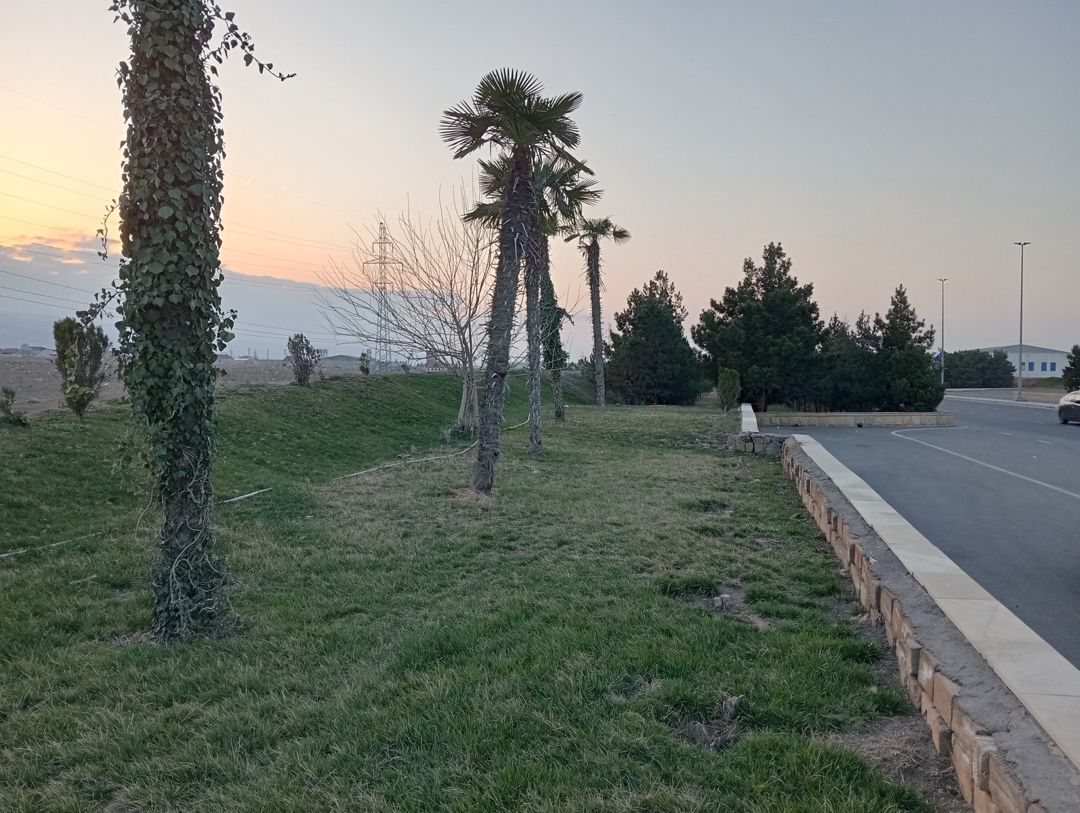 Satılır torpaq 90 sot — Torpaq, Gəncə (3)