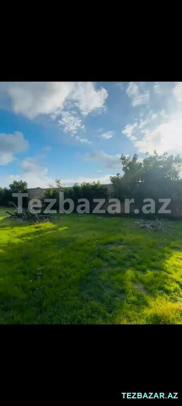 Buzovna 11 sot kupçalı torpaq satılır — Torpaq, Bakı (5)