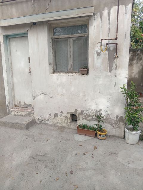 Badamdartda bir otaqli ev kirayə — Bakı