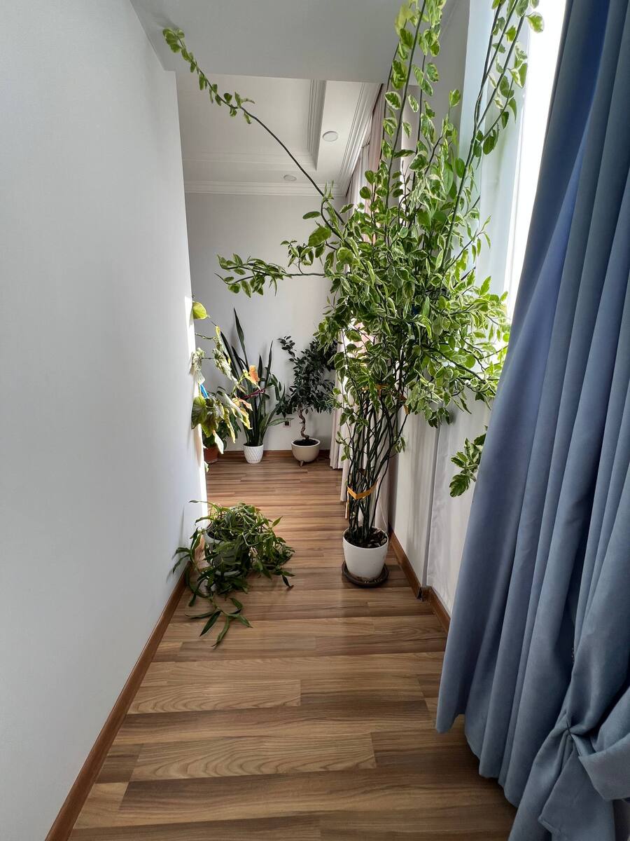 Satılır 3 otaqlı yeni tikili 114 m² — Mənzil, Bakı (5)