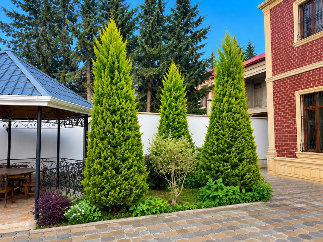 İcarəyə verilir 5 otaqlı həyət evi/bağ evi 330 m² — Ev, villa, Bakı (6)