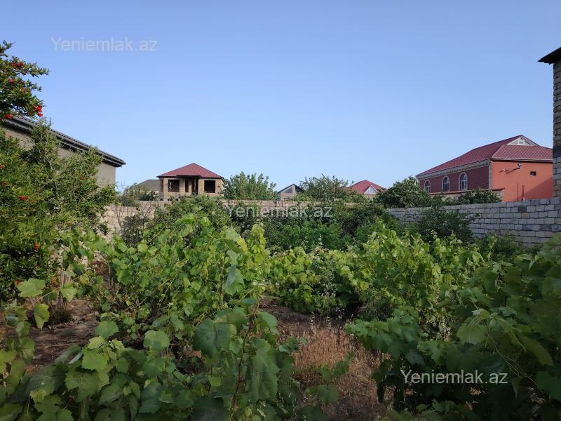 Satılır Torpaq sahəsi, 6.5 sot, Saray — Torpaq, Abşeron (9)