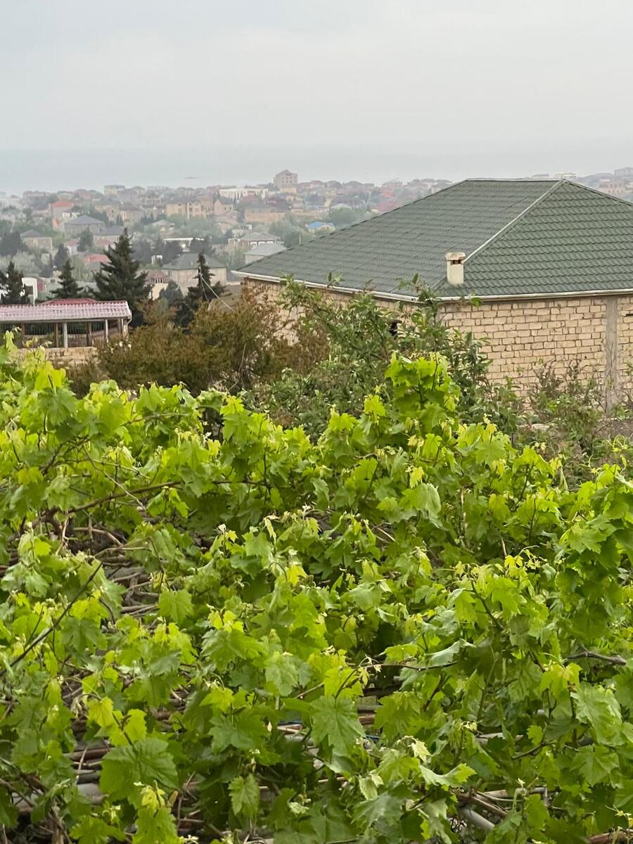 Satılır 6 otaqlı həyət evi/bağ evi 226 m² — Ev, villa, Bakı (5)