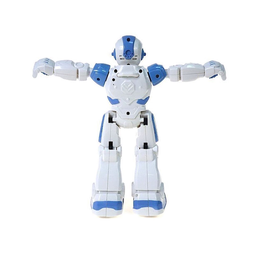 Robot Adar 0457, ağ/göy — Mallar, Bakı (2)