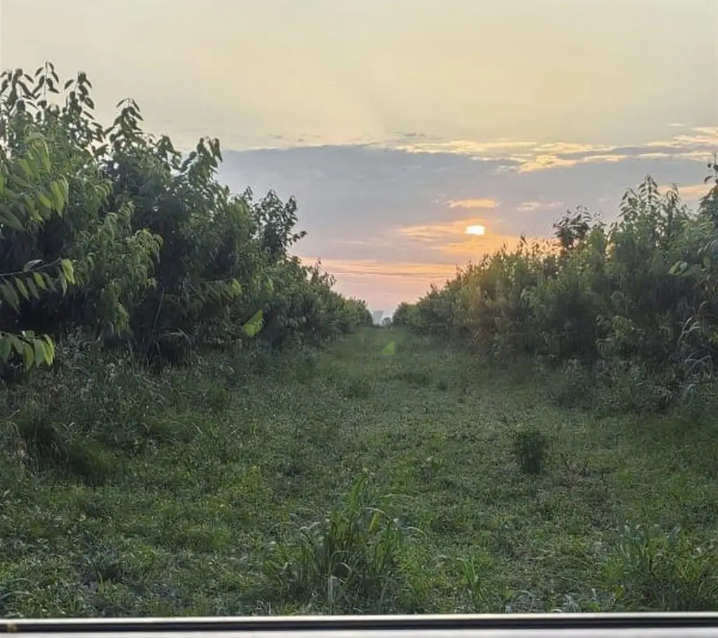 270 sot Torpaq Satılır, Xaçmaz — Torpaq, Xaçmaz (6)