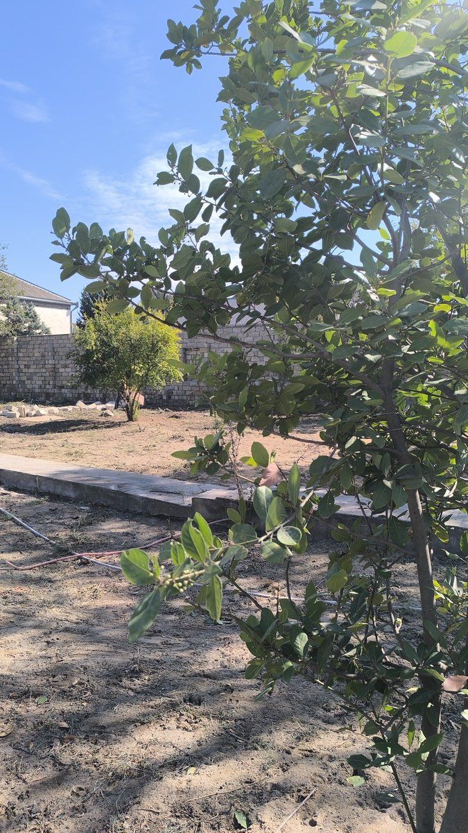 Satılır torpaq 2 sot — Torpaq, Bakı (8)