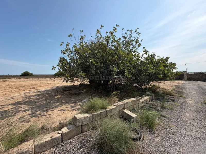 Satılır Torpaq 5 sot Bakı, Sabunçu r., Nardaran — Torpaq, Bakı (8)