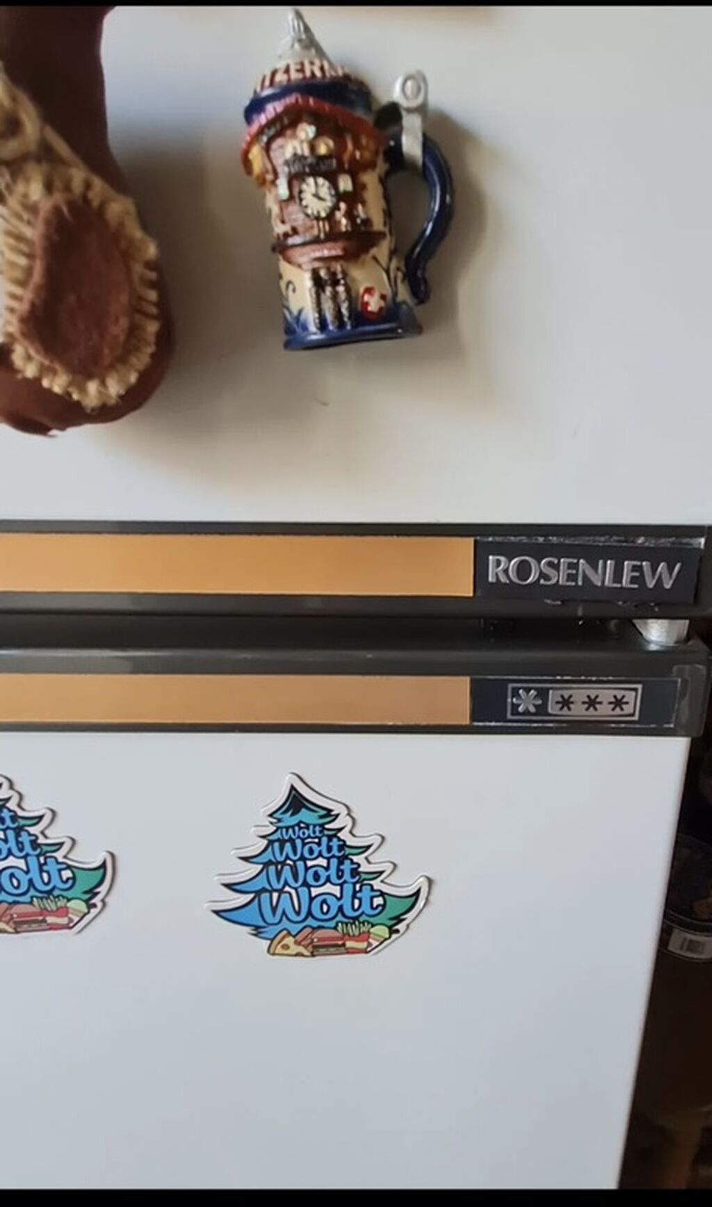 Rosenlew iki qapılı soyuducu - Brend/model: Rosenlew - Tip: kombi — Soyuducular, Bakı (2)