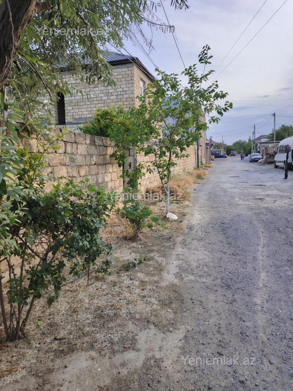 Satılır Torpaq sahəsi, 6.5 sot, Saray — Torpaq, Abşeron (4)