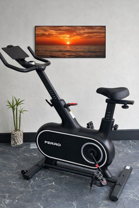 Velotrenajor Ferro Family Bike 6 — Bakı