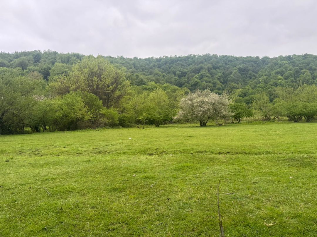 Satılır torpaq 71 sot — Torpaq, Qəbələ (5)