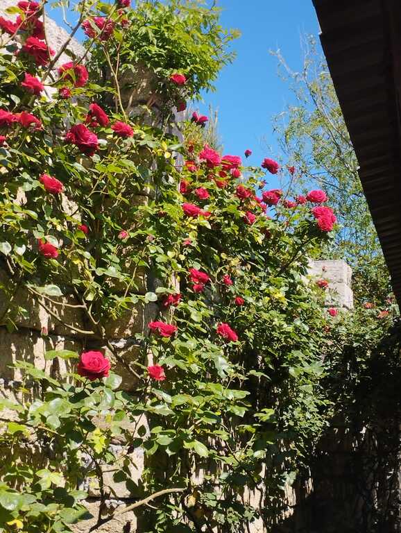 Satılır 5 otaqlı həyət evi/bağ evi 300 m² — Ev, villa, Bakı (6)