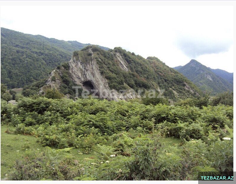 Oğuzda torpaq — Torpaq, Oğuz (5)