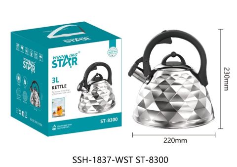 Çaydan Winning Star ST-8300, paslanmayan polad, gümüşü, 3 l — Bakı