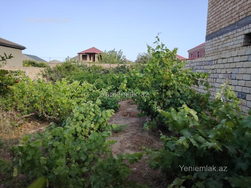 Satılır Torpaq sahəsi, 6.5 sot, Saray — Torpaq, Abşeron (7)